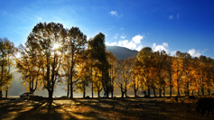 政策咨询拆迁服务